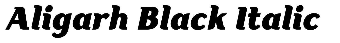 Aligarh Black Italic